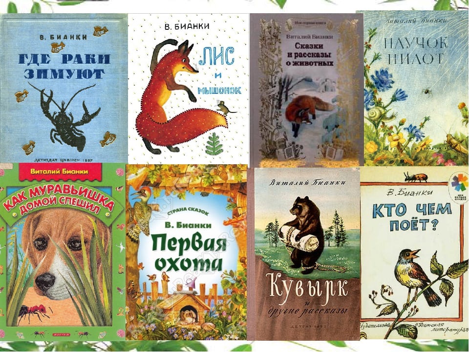 Книги бианки картинки обложек книг